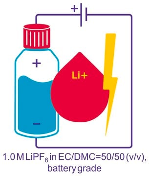 Lithium hexafluorophosphate solution in ethylene carbonate and dimethyl carbonate, 1.0 M LiPF6 in EC/DMC=50/50 (v/v), battery grade
