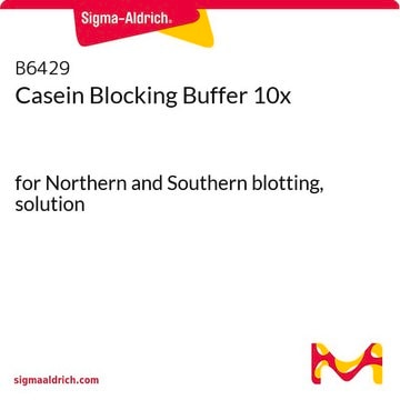 酪蛋白封闭缓冲液 10x for Northern and Southern blotting, solution