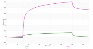 Anti-GAL4 Antibody, clone 1F22 ZooMAb® Rabbit Monoclonal recombinant, expressed in HEK 293 cells