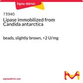 Lipase immobilized from Candida antarctica beads, slightly brown, >2 U/mg