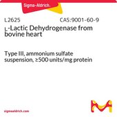 L-Lactic Dehydrogenase from bovine heart Type III, ammonium sulfate suspension, ≥500 units/mg protein