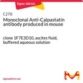Monoclonal Anti-Calpastatin antibody produced in mouse clone 1F7E3D10, ascites fluid, buffered aqueous solution