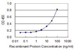 Monoclonal Anti-ZNF155 antibody produced in mouse clone 2F11, purified immunoglobulin, buffered aqueous solution
