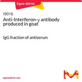 抗-干扰素-γ 山羊抗 IgG fraction of antiserum