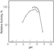 p-Hydroxybenzoate Hydroxylase from Pseudomonas sp. lyophilized powder, ~20 units/mg solid