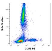 Monoclonal Anti-CD56 PE produced in mouse