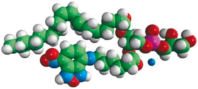 18:1-06:0 NBD PG Avanti Polar Lipids