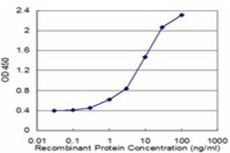 Monoclonal Anti-TPBG antibody produced in mouse clone 1B6, purified immunoglobulin, buffered aqueous solution