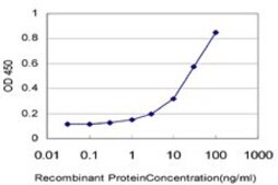 Monoclonal Anti-LASS4 antibody produced in mouse clone 7D1, purified immunoglobulin, buffered aqueous solution