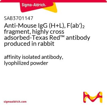 Anti-Mouse IgG (H+L), F(ab&#8242;)2 fragment, highly cross adsorbed-Texas Red&#8482; antibody produced in rabbit affinity isolated antibody, lyophilized powder