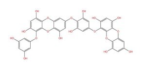Dieckol phyproof® Reference Substance
