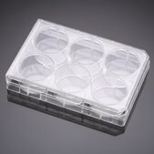 Corning® Falcon® Cell Culture Insert Companion Plate wells, 6, Tissue Culture (TC)-treated surface, sterile
