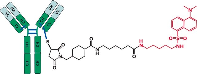 SigmaMAb抗体药物偶联物(ADC)模拟物 Antibody Cysteine-Fluorophore Conjugate Standard