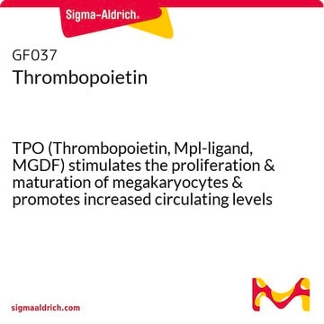 血小板生成素 TPO (Thrombopoietin, Mpl-ligand, MGDF) stimulates the proliferation &amp; maturation of megakaryocytes &amp; promotes increased circulating levels of platelets in vivo.