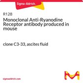 Monoclonal Anti-Ryanodine Receptor antibody produced in mouse clone C3-33, ascites fluid