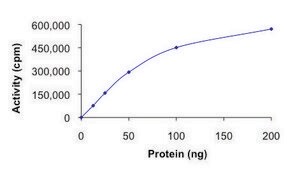 BRSK1, active, GST tagged from mouse PRECISIO&#174;, recombinant, expressed in baculovirus infected Sf9 cells, &#8805;70% (SDS-PAGE), buffered aqueous glycerol solution