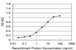 ANTI-RCV1 antibody produced in mouse clone 1B7, purified immunoglobulin, buffered aqueous solution