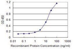 Monoclonal Anti-MAP3K15 antibody produced in mouse clone 1H7, purified immunoglobulin, buffered aqueous solution