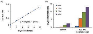 Lipolysis Colorimetric Assay Kit Sufficient for 100 Colorimetric tests
