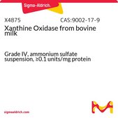 Xanthine Oxidase from bovine milk Grade IV, ammonium sulfate suspension, ≥0.1 units/mg protein