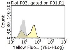 Anti-Syndecan-1 Antibody, clone 11G2.1 clone 11G2.1, from mouse