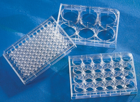 Corning&#174; 96 Well TC-Treated Microplates size 96&#160;wells, polystyrene, flat bottom, case of 50 (individually wrapped), sterile, lid