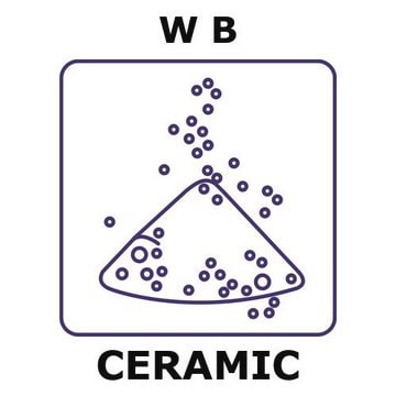 硼化钨 powder, max. particle size 45 micron, weight 500&#160;g, purity 99%