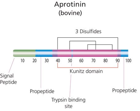 Aprotinin from bovine lung lyophilized powder, 3-8&#160;TIU/mg solid