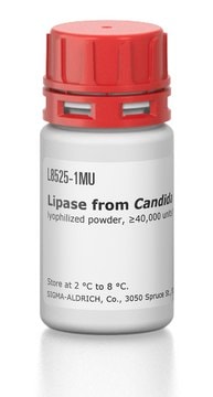 脂肪酶 来源于皱褶假丝酵母 lyophilized powder, &#8805;40,000&#160;units/mg protein