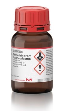 Thrombin from bovine plasma Suitable for manufacturing of diagnostic kits and reagents