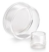 Millicell®立式细胞培养小室 pore size 0.4 μm, diam. 12 mm, translucent polycarbonate membrane, Tissue Culture (TC)-treated surface, sterile