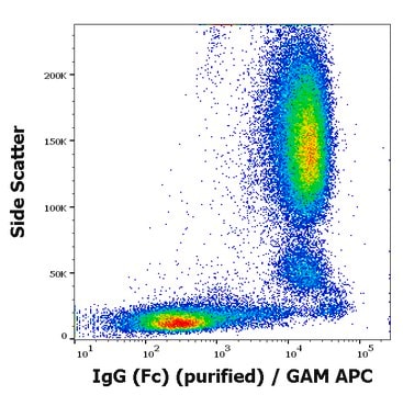 Monoclonal Anti-IgG (Fc) purified produced in mouse