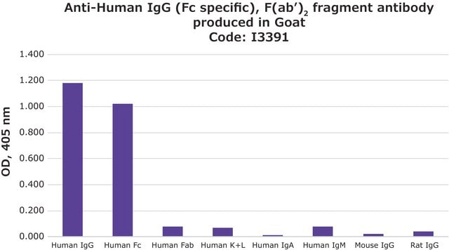 Anti-Human IgG (Fc specific), F(ab&#8242;)2 fragment antibody produced in goat affinity isolated antibody, buffered aqueous solution
