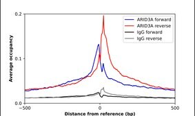 Anti-ARID3A Prestige Antibodies® Powered by Atlas Antibodies, affinity isolated antibody