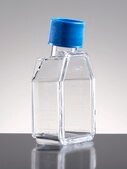 Corning® Falcon® Cell Culture Flask capacity 25 mL, canted neck, graduated, 2 ‑ 25 mL, cap, blue plug seal