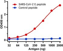 Anti-SARS-CoV-2 (COVID-19, 2019-nCoV) Envelope antibody produced in rabbit affinity isolated antibody