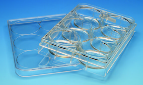 CytoSoft® Elastic Moduli 64 kPa