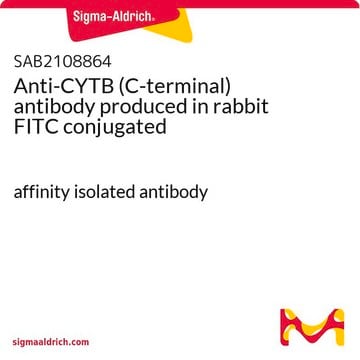 Anti-CYTB (C-terminal) antibody produced in rabbit FITC conjugated affinity isolated antibody