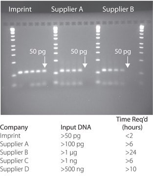 Imprint&#174; DNA Modification Kit For bisulfite DNA conversion &amp; purification