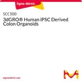 3dGRO® Human iPSC Derived Colon Organoids Normal, Dermal Fibroblast, Age: Neonatal, Male, Mutation: None