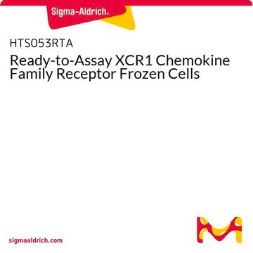 Ready-to-Assay XCR1 Chemokine Family Receptor Frozen Cells