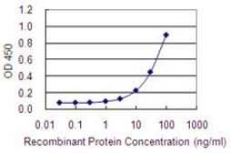 Monoclonal Anti-LRRN5 antibody produced in mouse clone 6A9, purified immunoglobulin, buffered aqueous solution