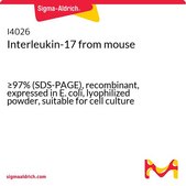 Interleukin-17 from mouse ≥97% (SDS-PAGE), recombinant, expressed in E. coli, lyophilized powder, suitable for cell culture
