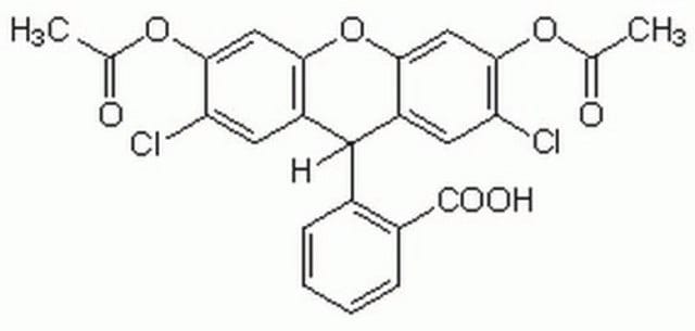 2&#8242;,7&#8242;-Dichlorofluorescin Diacetate Cell-permeable fluorogenic probe that is useful for the detection of reactive oxygen species (ROS) and nitric oxide (&#8226;NO) and for the determination of the degree of overall oxidative stress.