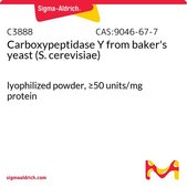 羧肽酶 Y 来源于面包酵母（酿酒酵母） lyophilized powder, ≥50 units/mg protein