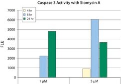 Siomycin A from Streptomyces sioyaensis, &#8805;98% (HPLC)