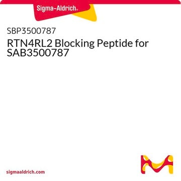 RTN4RL2 Blocking Peptide for SAB3500787