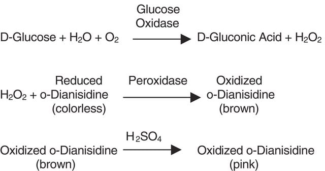 Glucose Oxidase from Aspergillus niger Type II, &#8805;10,000&#160;units/g solid (without added oxygen)