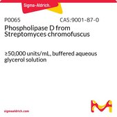 Phospholipase D from Streptomyces chromofuscus ≥50,000 units/mL, buffered aqueous glycerol solution