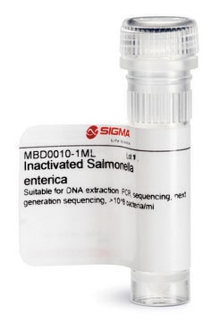 Inactivated Salmonella enterica Suitable for DNA extraction, PCR, sequencing, next generation sequencing, &gt;10^8 bacteria/ml